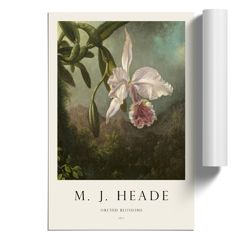 Orchid Blossoms - No Frame Print, 42cm H x 30cm W x 0.1cm D