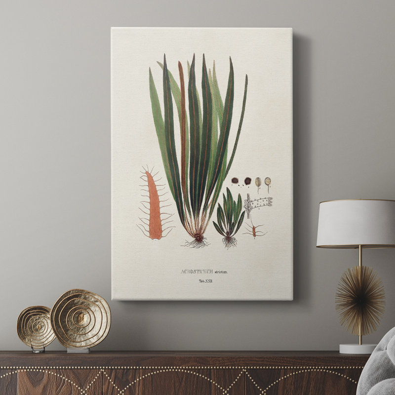 Fougères de la Botanical Society - galerie Cavas sur mesure, H 27 po x l 18 po