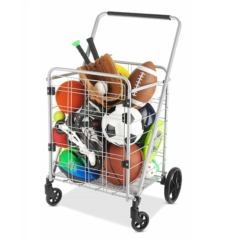 Chariot utilitaire robuste avec porte frontale