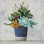 «Succulent Still Life I Navy» par Julia Purinton - Peinture
