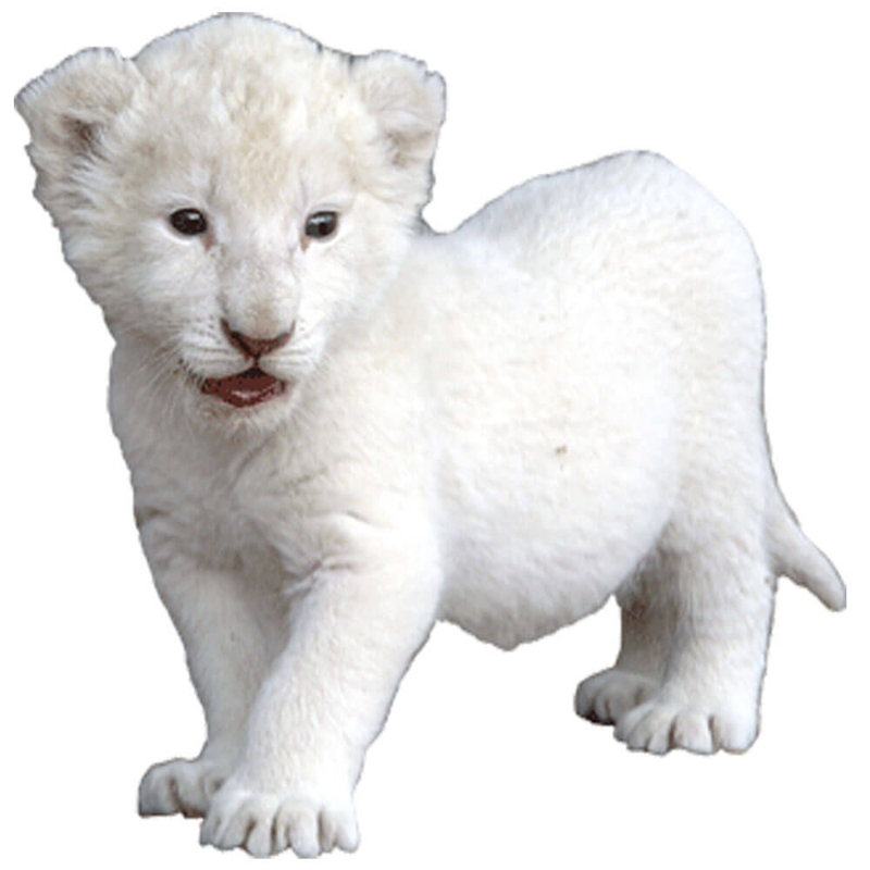 Adhésif décoratif bébé tigre, H 24 po x l 24 po
