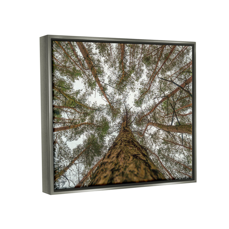 Art mural sur toile flottant au-dessus d'une branche d'arbre par Martin Podt, H 25 po x l 31 po x P 1,7 po
