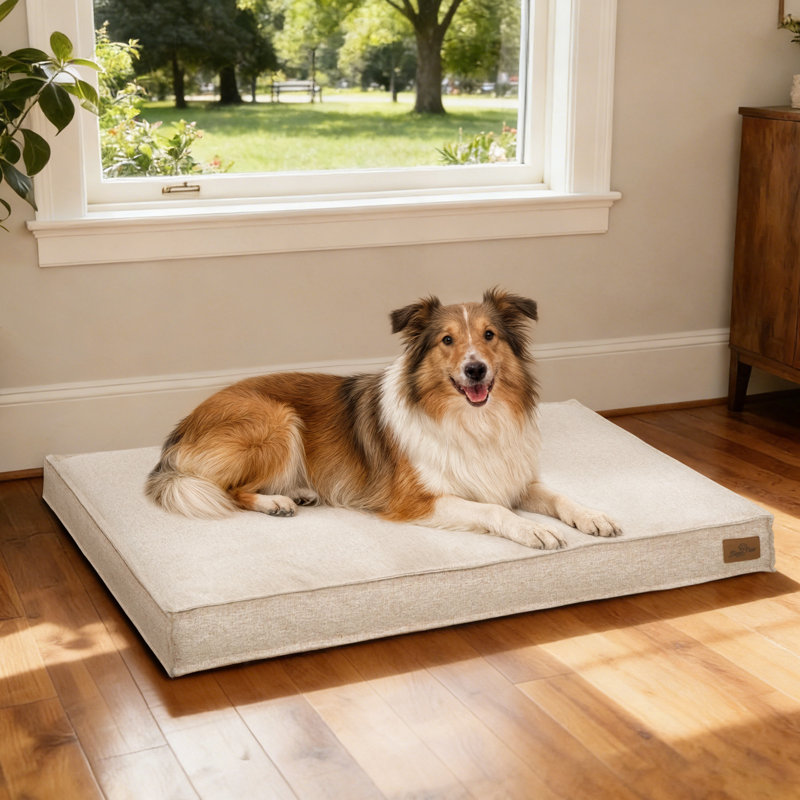 Pet Bed Firm Support Crate Mattress, Beige, Large (10cm H x 103cm W x 69cm D)