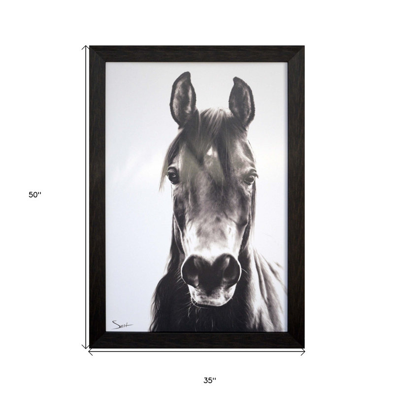 «Horse Portrait Brown», reproduction d'art encadrée