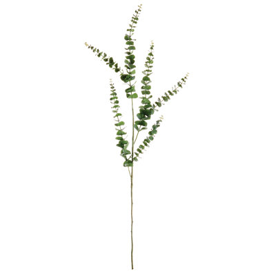 49-Inch Eucalyptus Stem