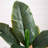 Banana Artificial Tree in Terracotta Planter