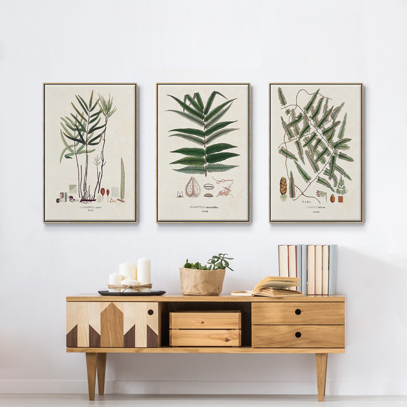 Fougères de la Botanical Society X 3 pièces, H 36 po x l 72 po x P 2 po, Naturel