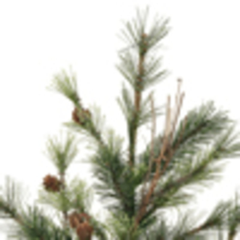 Vaporisateur de Noël artificiel 24 po Vickerman. Comprend 2 jets par paquet.