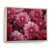 Natural Floater Framed