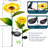 Low Voltage Solar Powered Integrated LED Pathway Light Pack