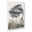 Great Blue Heron by John James Audubon - Wrapped Canvas-55366350