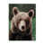 Ours est en rupture de stock