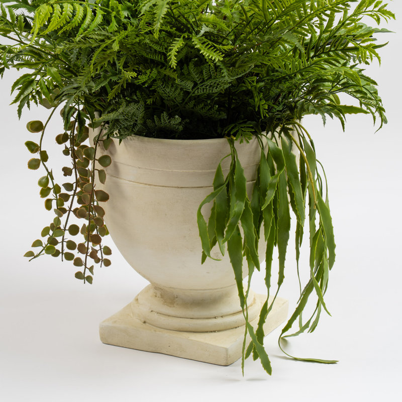 Antavia 70cm Faux Foliage Plant in Cement Urn