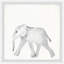 «Mize Baby Elephant exercise», ensemble de 4 reproductions encadrées-1363880192