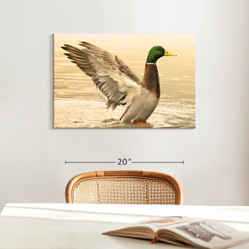 Canard colvert majestueux Brampt, H 16 po x l 24 po