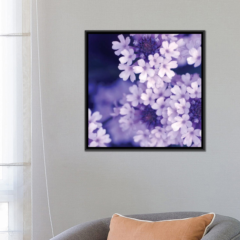 « purple fleurs ii », reproduction de photo sur toile, Toile encadrée noire, H 8 po x l 26 po x P 26 po, Pas de tapis