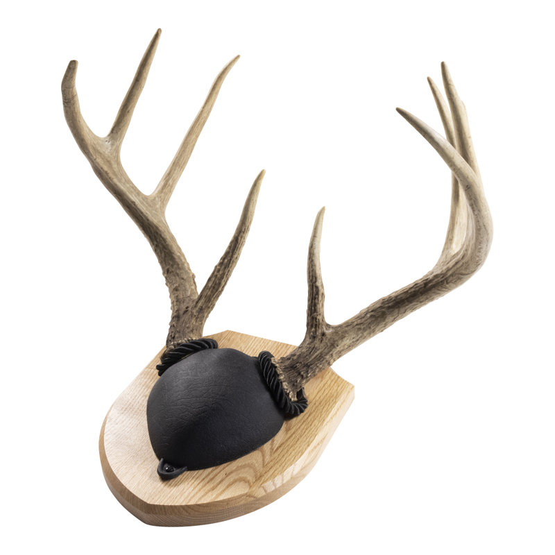Solid Medium Oak Antler Mount Plaque - Taxidermy Display Board For Deer Antlers 2 thumbnail image