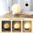 Wrought Studio™ Ceramic Touch Lamp