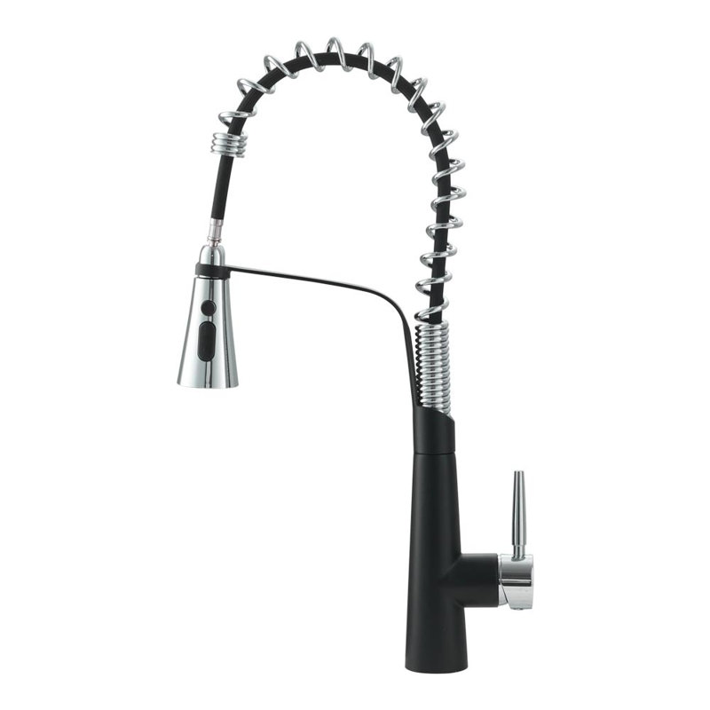 Belfry Kitchen Dunfee Pull Out Kitchen Faucet, Matte Black/Chrome