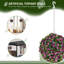 Anslem 28cm Faux Rose Plant in Freestanding-462900563