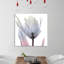 Silver Splash 2 - Wrapped Canvas Print-28887606