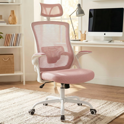 Neeya Ergonomic Mesh Office Chair with Flip-Up Arms