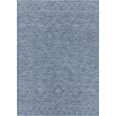 Tapis intérieur / extérieur bleu Winifred