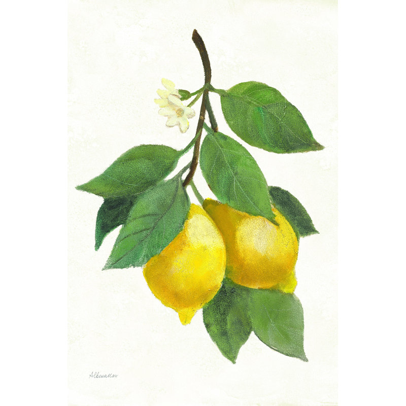 Citron II, H 30 po x l 20 po