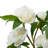 Elements Artificial Peonies In Vase, 21 Inch