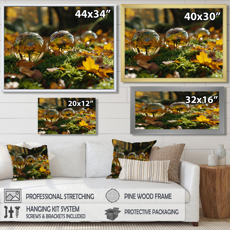 Waterdrops Reflecting Forest Light - Art abstrait paysage mural, Cadre flottant doré, H 12 po x l 20 po