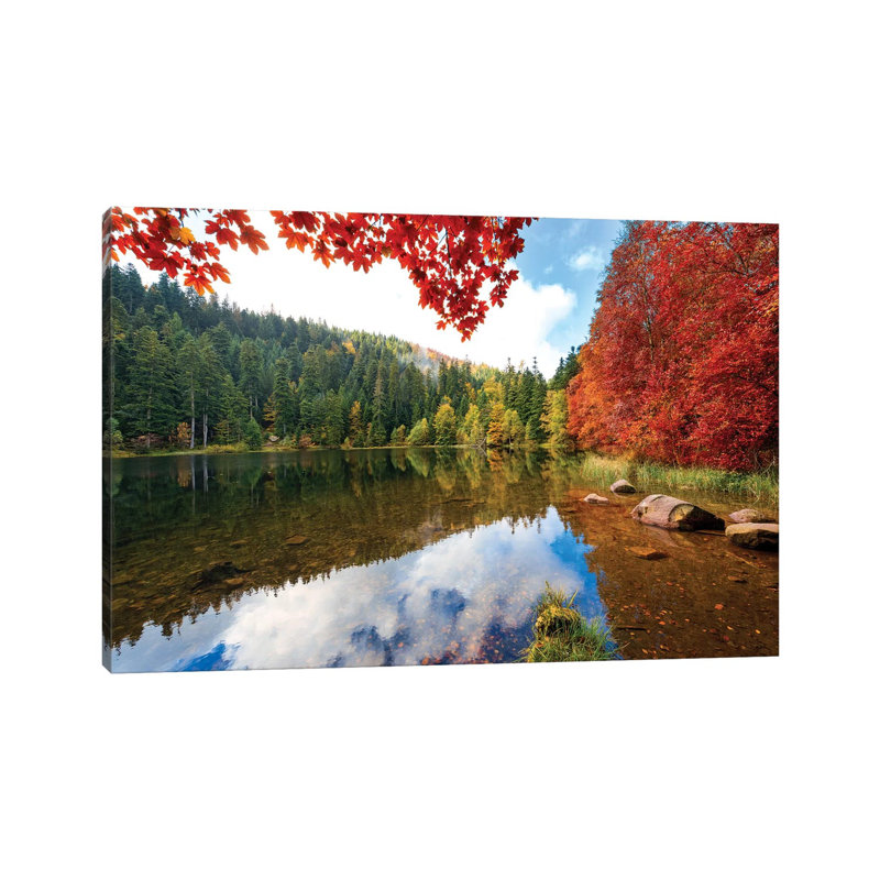 Reciprocity by Philippe Sainte-Laudy - Wrapped Canvas Print, 20.32 cm H x 30.48 cm W