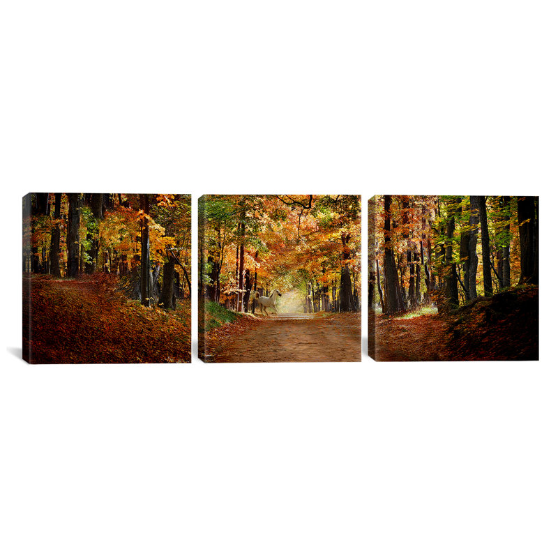 Ensemble de 3 reproductions de photos sur toile tendue, "cheval running on road" par automne, H 24 po x l 72 po x P 1,5 po