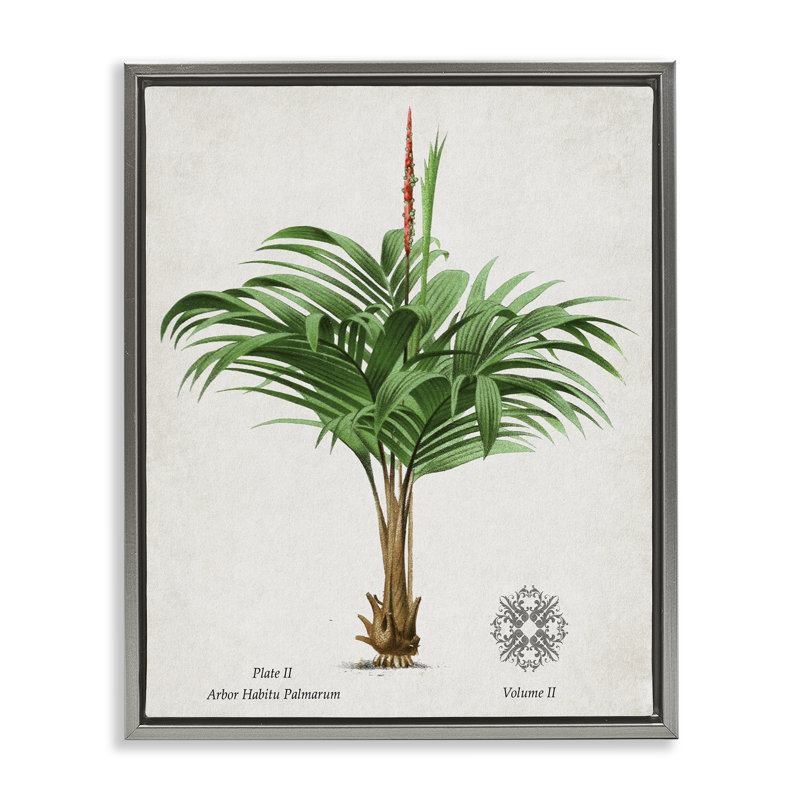 Cadre flottant Natural Palm, H 31 po x l 25 po, Cadre flottant gris lustré