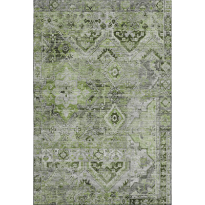 Premium Machine Washable Varasteh AMF1664 Global Rug