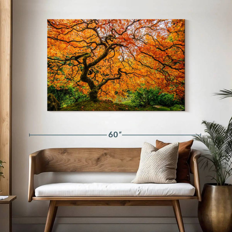 Harnek Oregon Japanese Maple, 32" H x 48" W