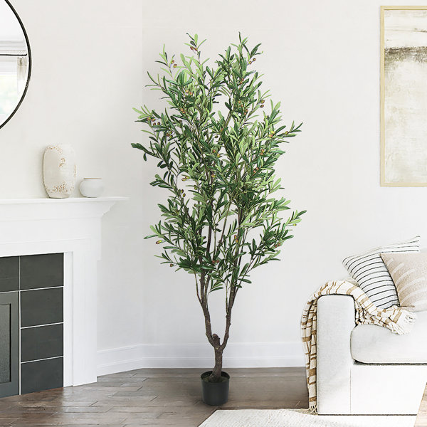 Greyleigh™ Faux Olive Tree Plant in Pot & Reviews | Wayfair