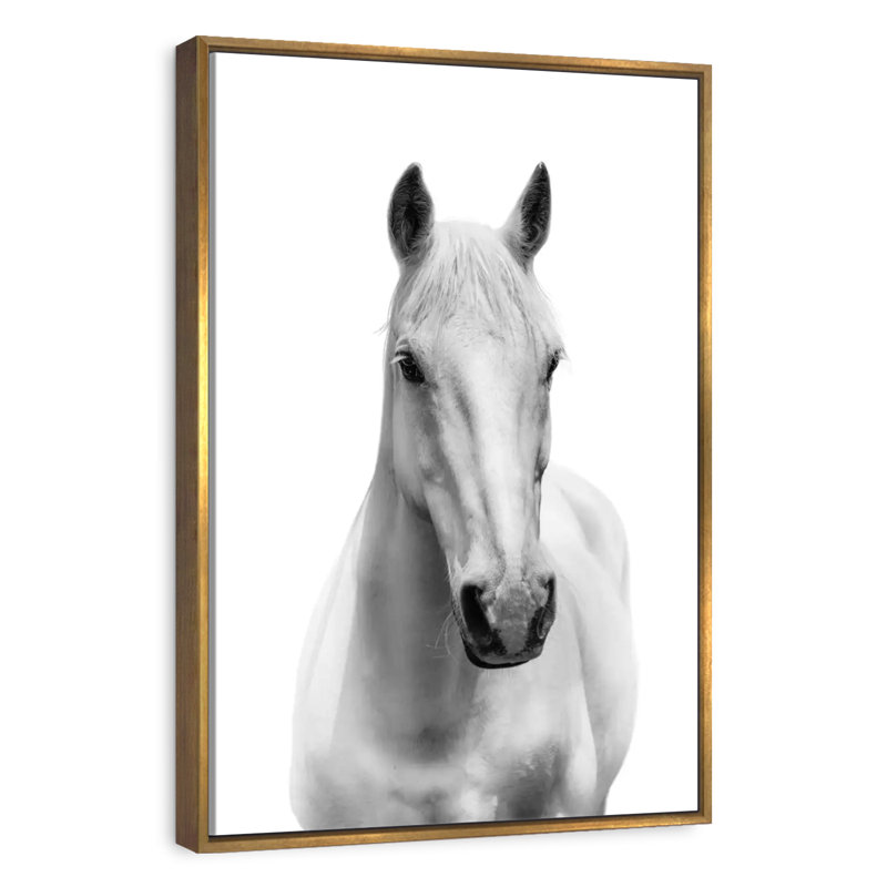 Mince cheval blanc, Floating Frame Gold, 13 po x 19 po
