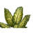 Artificial Plant