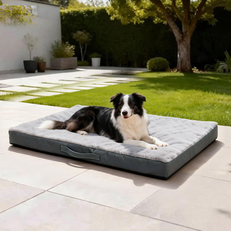 Polyester Pet Bed, 7.7cm H x 75cm W x 50cm D