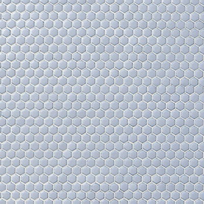 Eden 1" Rimmed Hexagon Polished Porcelain Mosaic Tile