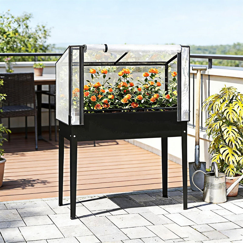 Raised Garden Bed Elevated Plant Boxs