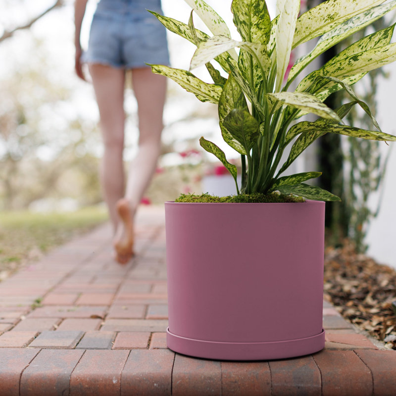 Modern Plastic Indoor/Outdoor Round Planter with Saucer, White, 11.64" H x 13.08" W x 13.08" D