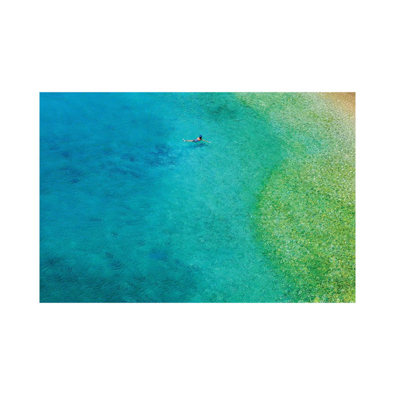 Solo Swim by Verne Varona - Gallery-Wrapped Canvas Giclée on Canvas, Wrapped Canvas, 30.48 cm H x 45.72 cm W