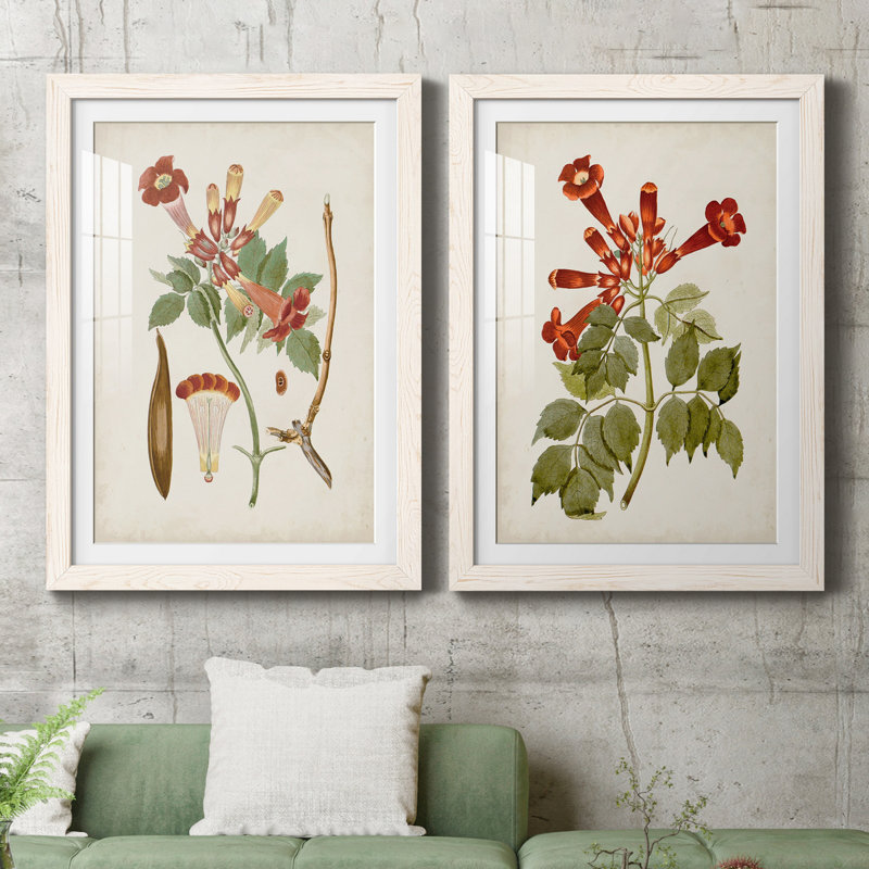 «Vintage Flowering Trees V», ensemble de 2 reproductions d'art sur papier encadrées, Papier encadré blanc