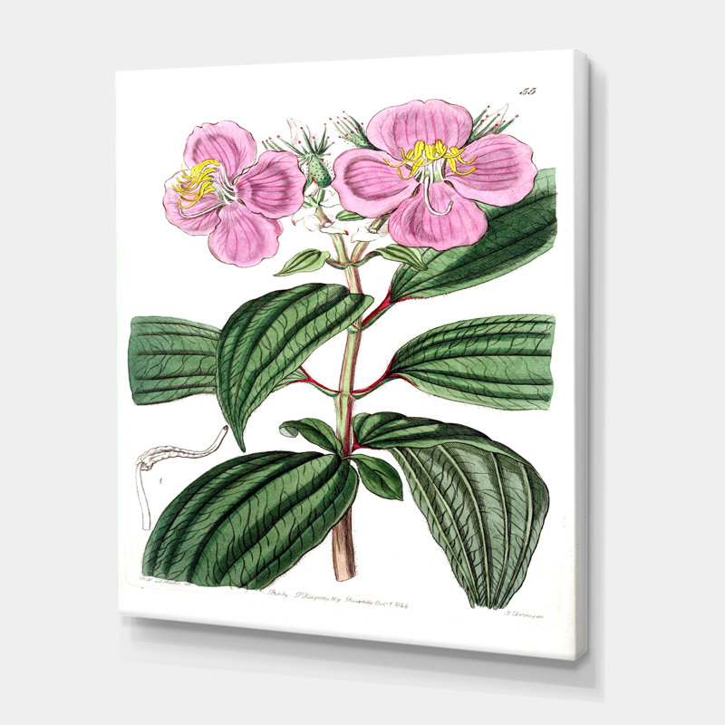 «Vintage Plant Life XXIII», peinture sur toile, H 32 po x l 16 po x P 1 po, Toile tendue