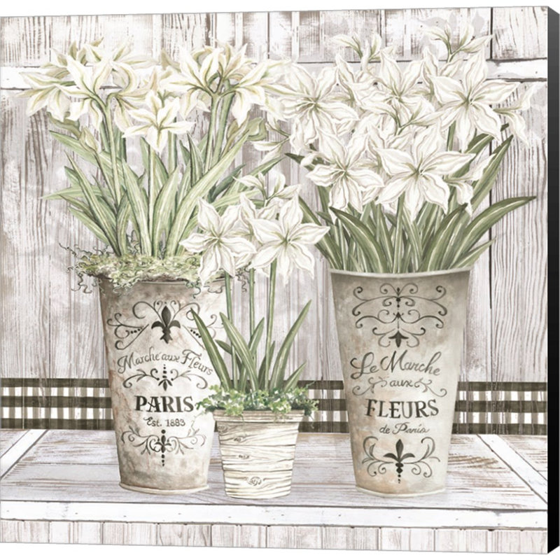 «Amaryllis Multi Pots» par Cindy Jacobs, art mural sur toile