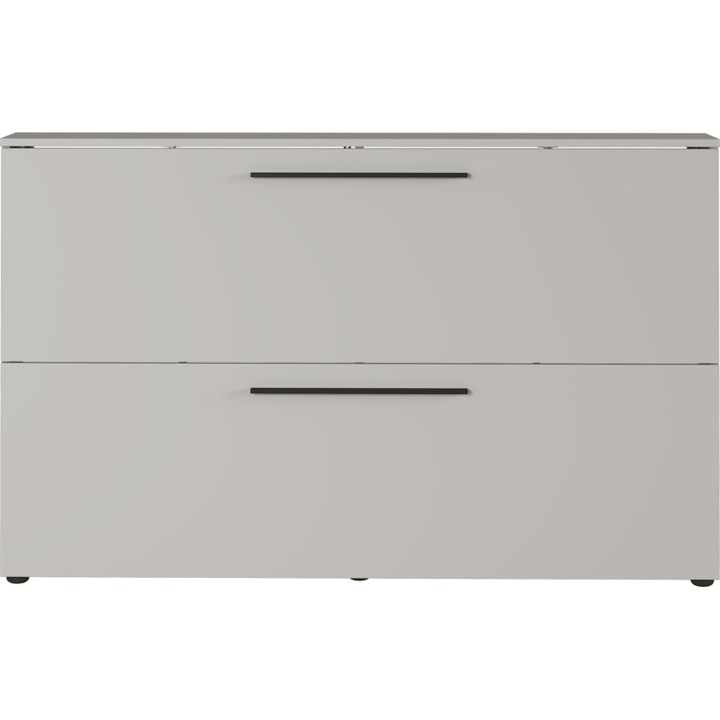 Damaiah 12 Pair Flip Down Shoe Storage, Grey