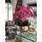 Roberi Arrangement in Pot-311770224-318745111