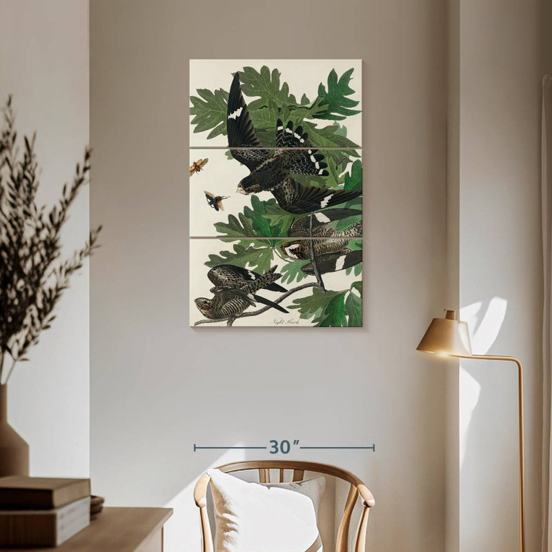 Brampt Night Hawk, 57" H x 36" W
