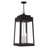 Antionetta 4 - Light Outdoor Hanging Lantern